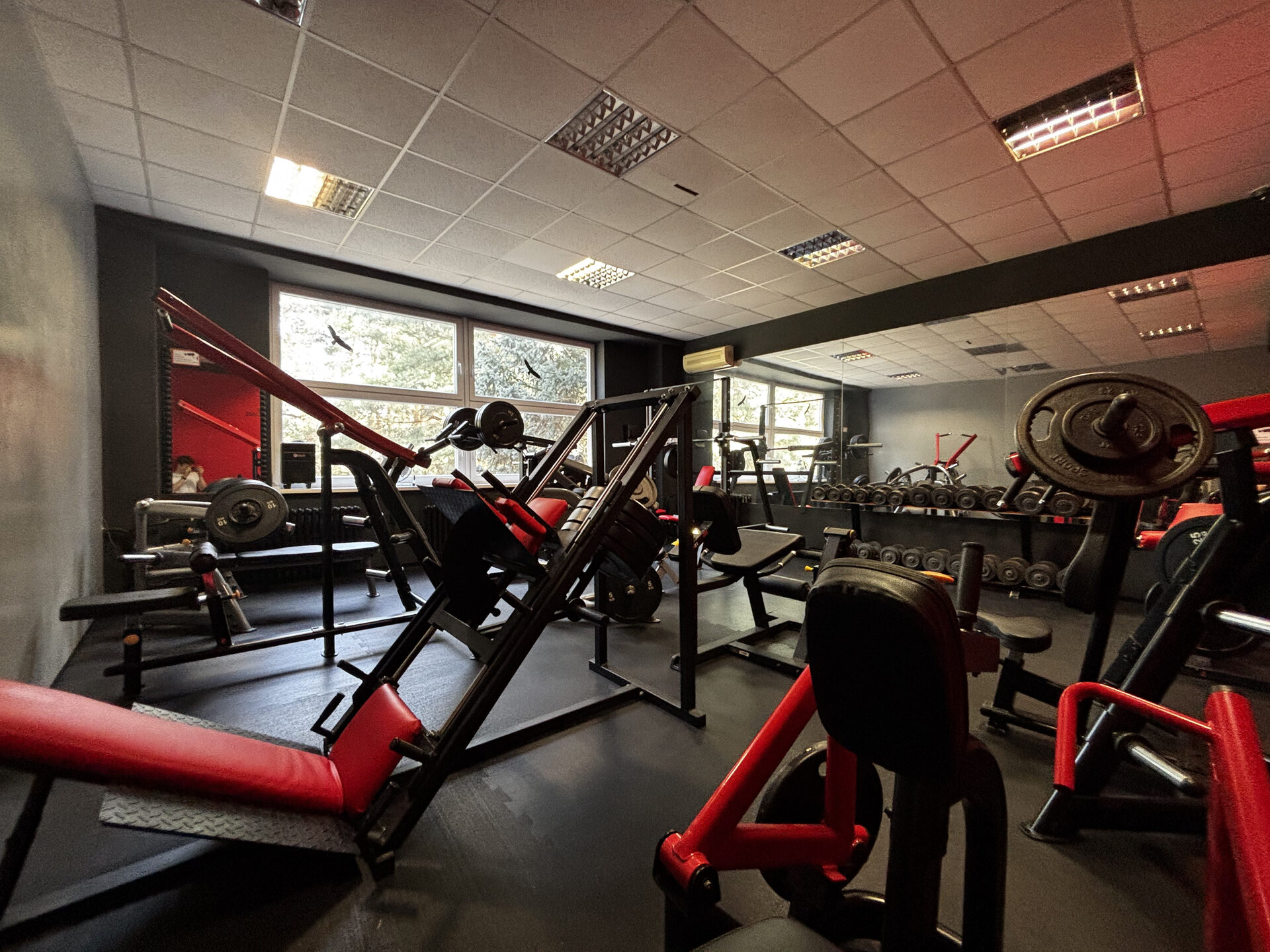 Posilovna – Flex Fitness Olomouc