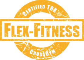 Flex Fitness logo